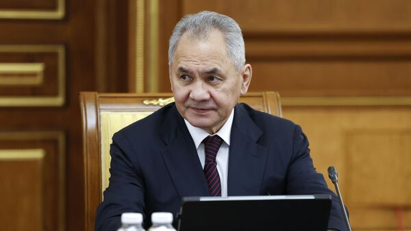 Ex-Defense Minister Sergei Shoigu - Sputnik Türkiye