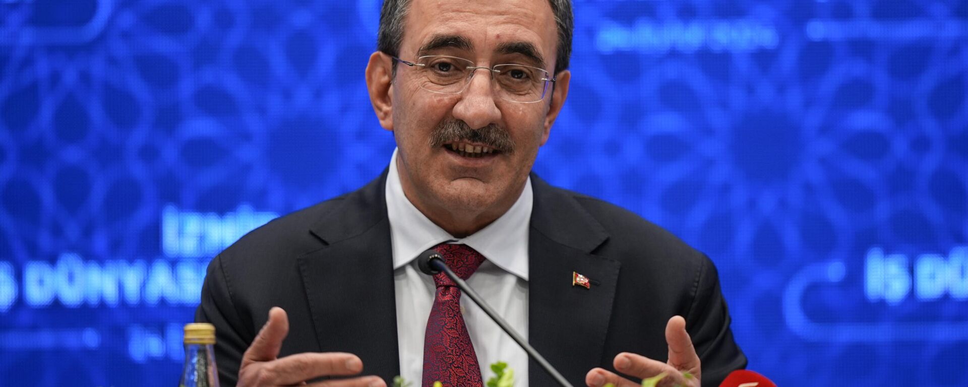 Cumhurbaşkanı Yardımcısı Cevdet Yılmaz  - Sputnik Türkiye, 1920, 21.07.2025