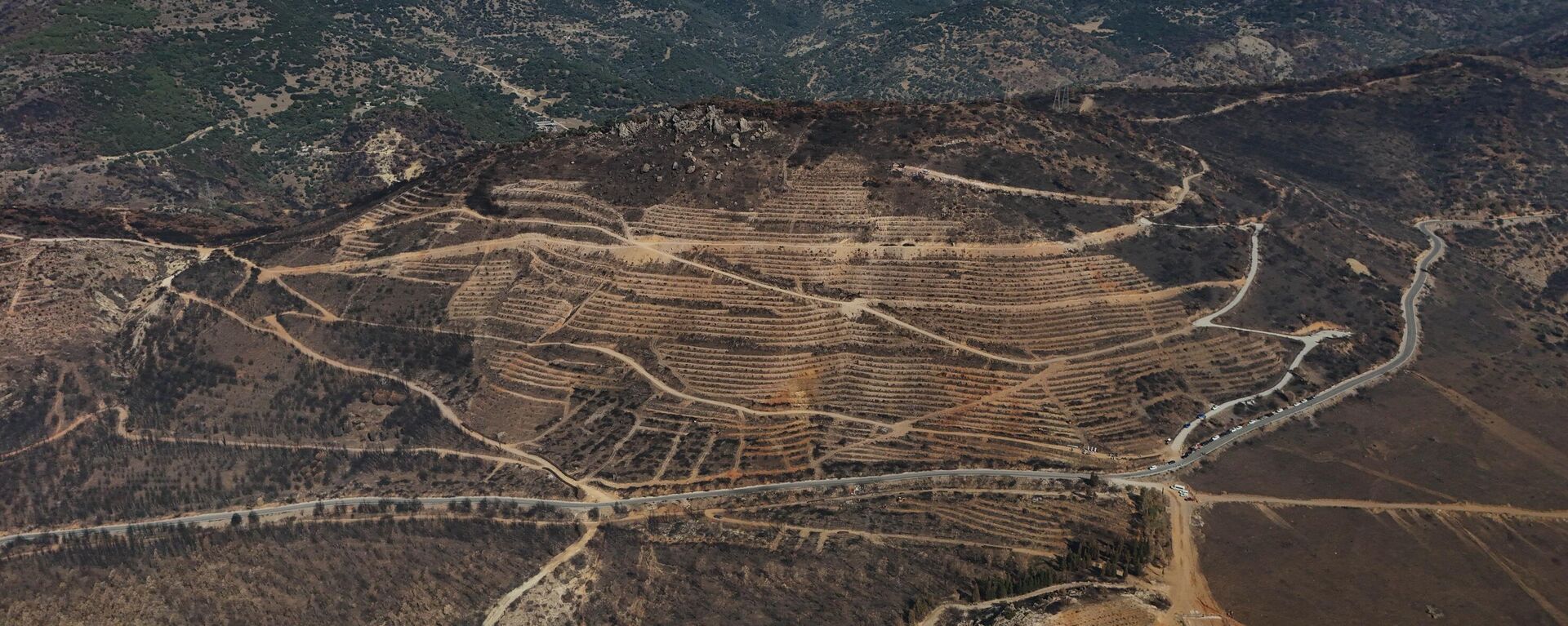 İzmir'in Karşıyaka ilçesinde 15 Ağustos'ta çıkan orman yangınında zarar gören alana 1 milyon 100 bin fidan dikilecek, 8 ton ağaç tohumu ekilecek. Zarar gören alanların tekrar ağaçlandırılmasıyla ilgili rehabilitasyon çalışmaları, orman işçileri tarafından yürütülüyor. - Sputnik Türkiye, 1920, 26.09.2024