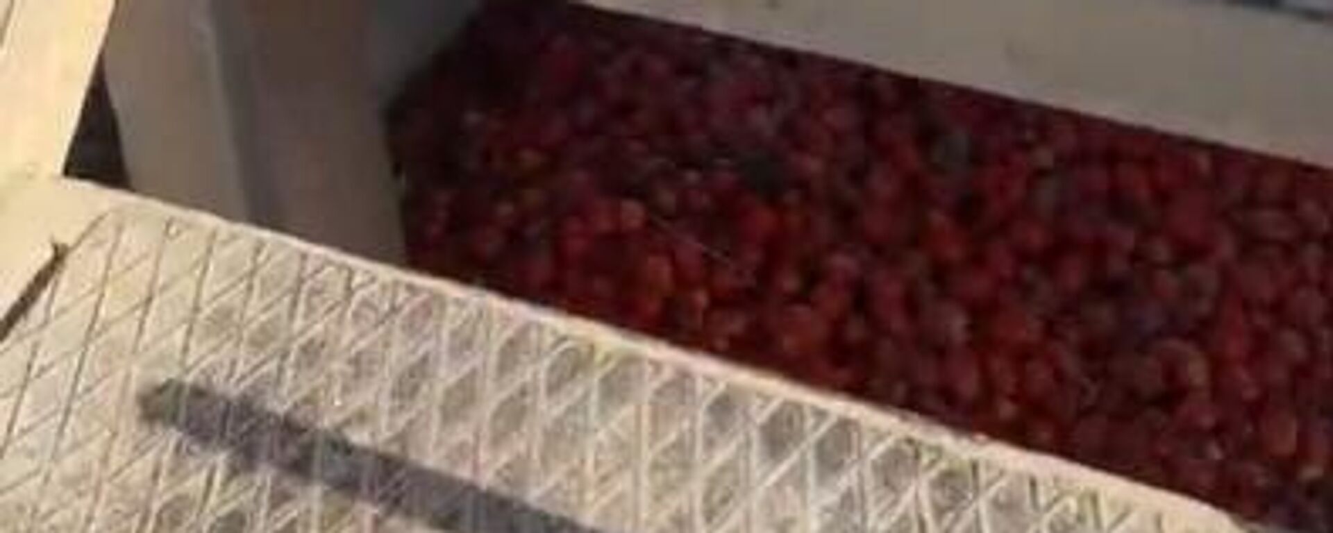 Manisa salça fabrikası - Sputnik Türkiye, 1920, 28.09.2024