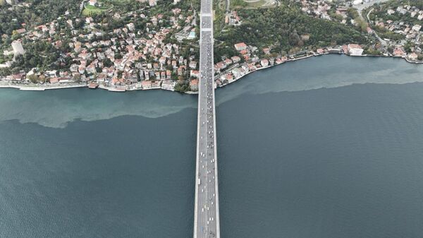 İstanbul Boğazı - Sputnik Türkiye