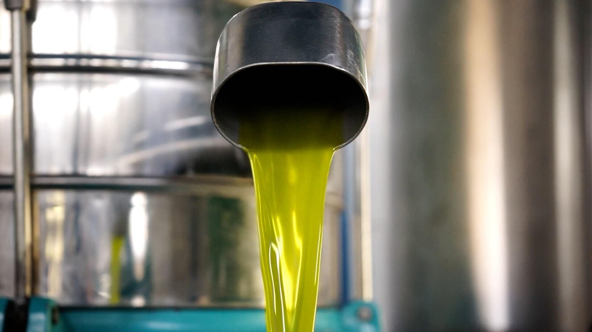 zeytinyağı zeytinyağı - Sputnik Türkiye, 1920, 18.12.2025