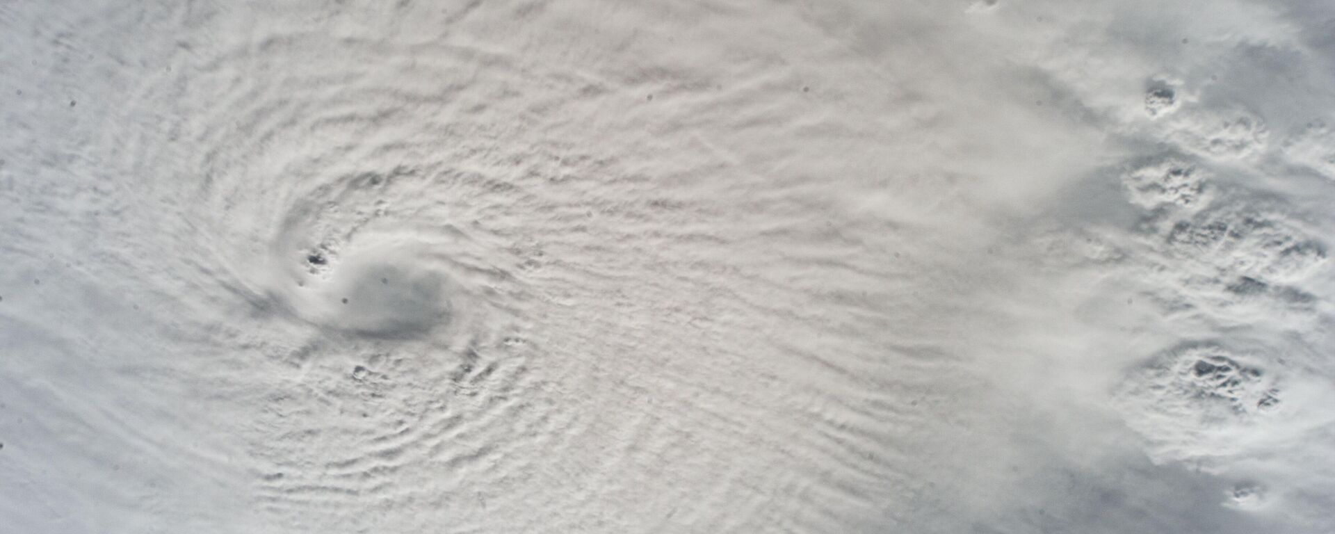 Milton Kasırgası - Sputnik Türkiye, 1920, 11.10.2024