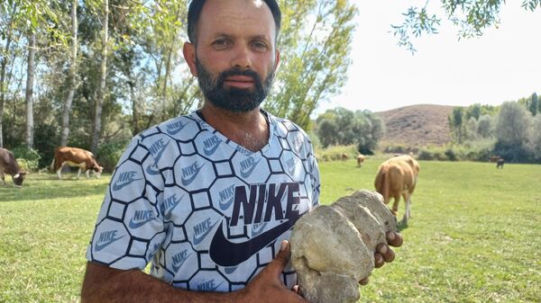 Yozgat'ta yaşayan Lokman Atıl (45), hayvan otlattığı sırada doğada 4.5 kilo ağırlığında deniz salyangozuna benzer bir fosil buldu. Atıl, bulunan fosilin kaç milyon yıl öncesine ait olduğunun araştırılıp incelenmesini istedi. - Sputnik Türkiye