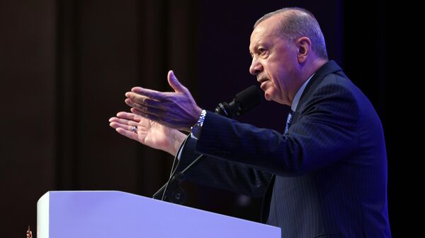 Cumhurbaşkanı Recep Tayyip Erdoğan - Sputnik Türkiye