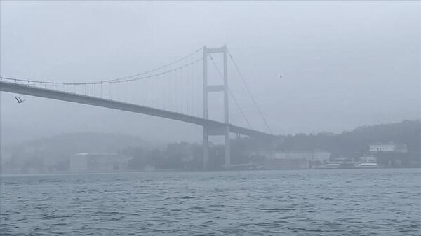 İstanbul Boğazı gemi trafiği - Sputnik Türkiye