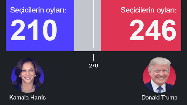 ABD Başkanlık Seçimleri'nde son durum: Trump seçicilerin oylarının 246'sını aldı - Sputnik Türkiye