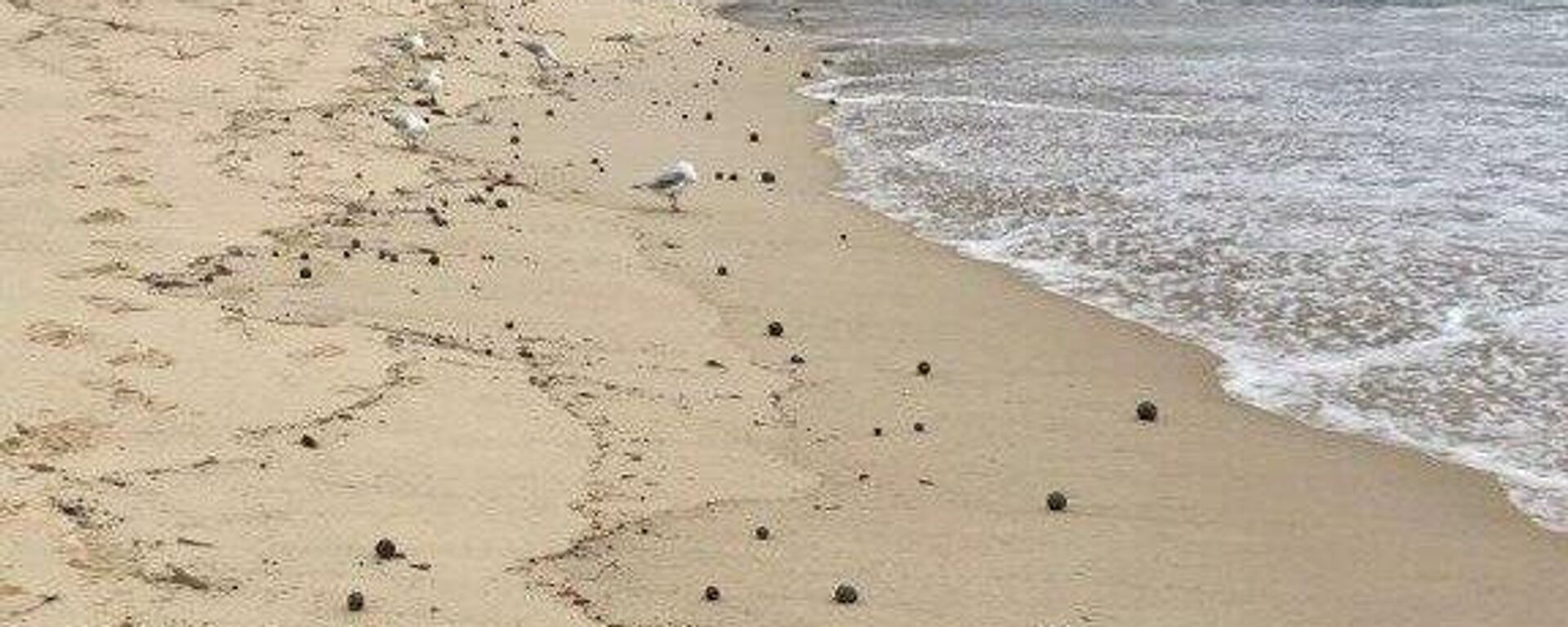 gizemli katran topları - Sputnik Türkiye, 1920, 07.11.2024