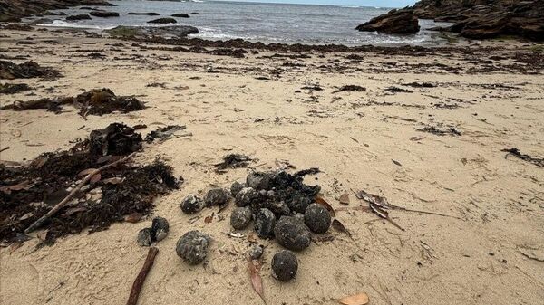 gizemli katran topları - Sputnik Türkiye