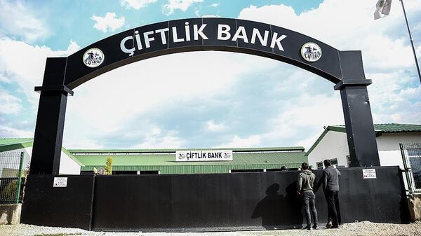 Çiftlik Bank - Sputnik Türkiye