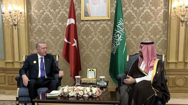 Erdoğan - Selman - Sputnik Türkiye