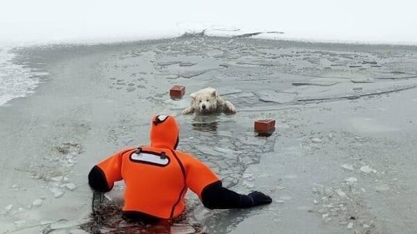 Donmuş göle düşen köpeği kurtaran acil durum ekipleri: Her hayat bizim için önemlidir! - Sputnik Türkiye