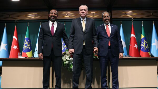 Cumhurbaşkanı Erdoğan - Sputnik Türkiye