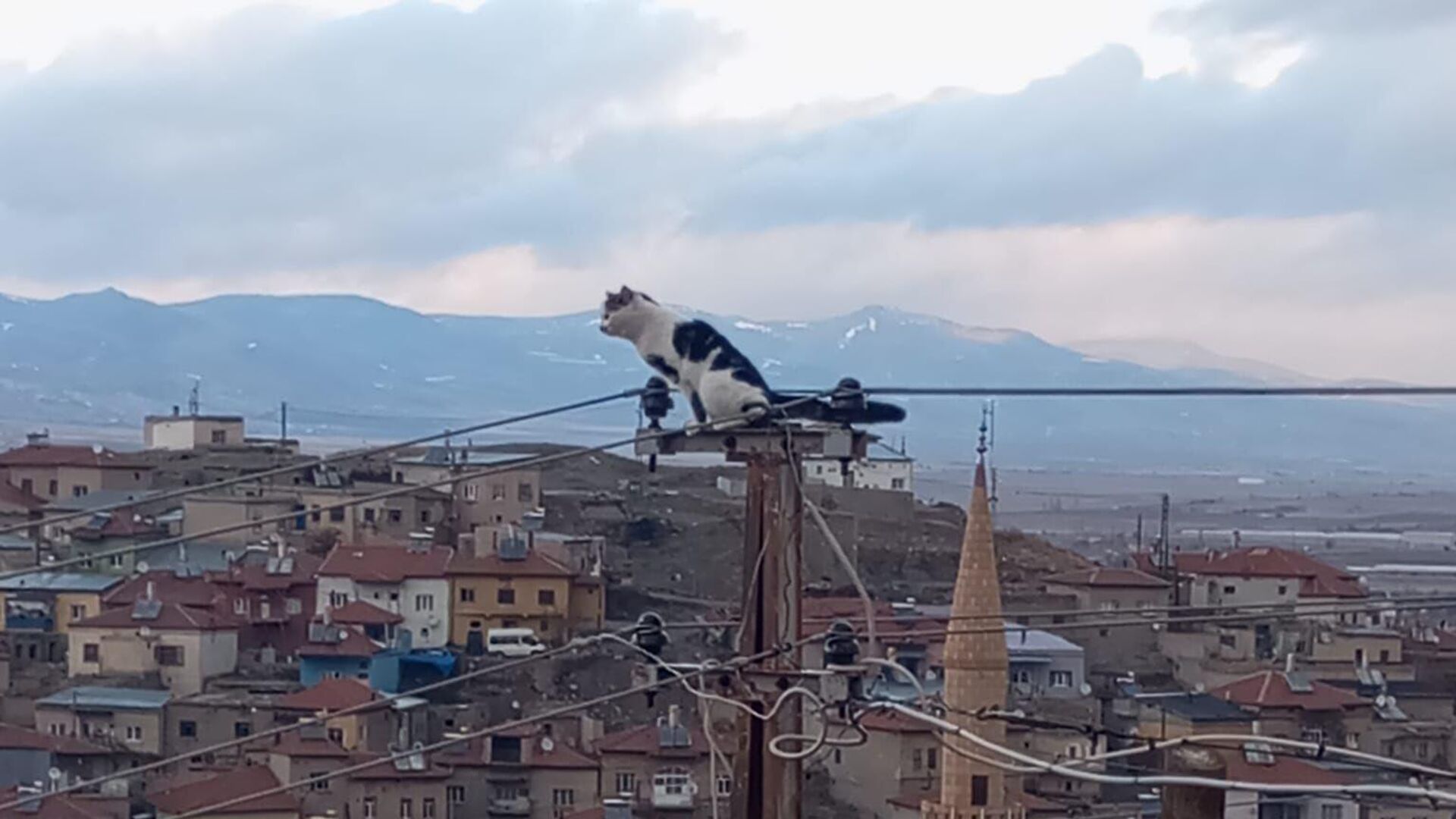 kayseri - Sputnik Türkiye, 1920, 12.12.2024