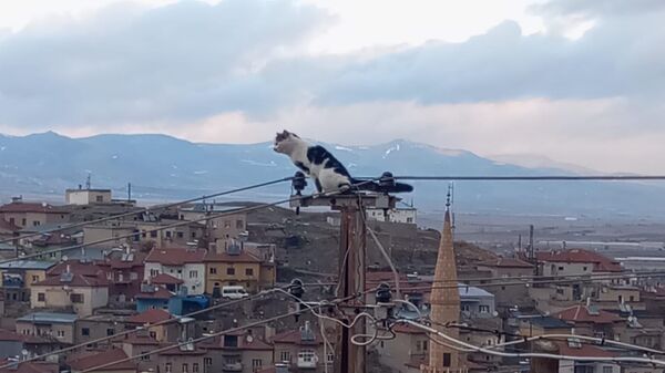 kayseri - Sputnik Türkiye