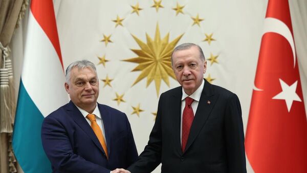 Cumhurbaşkanı Erdoğan - Sputnik Türkiye