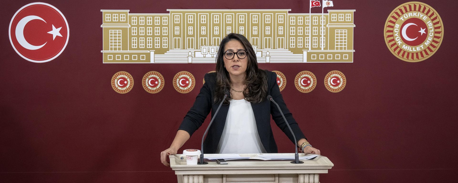 Türkiye İşçi Partisi (TİP) İstanbul Milletvekili Saliha Sera Kadıgil - Sputnik Türkiye, 1920, 16.12.2024