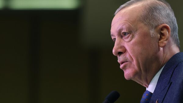 Cumhurbaşkanı Recep Tayyip Erdoğan - Sputnik Türkiye