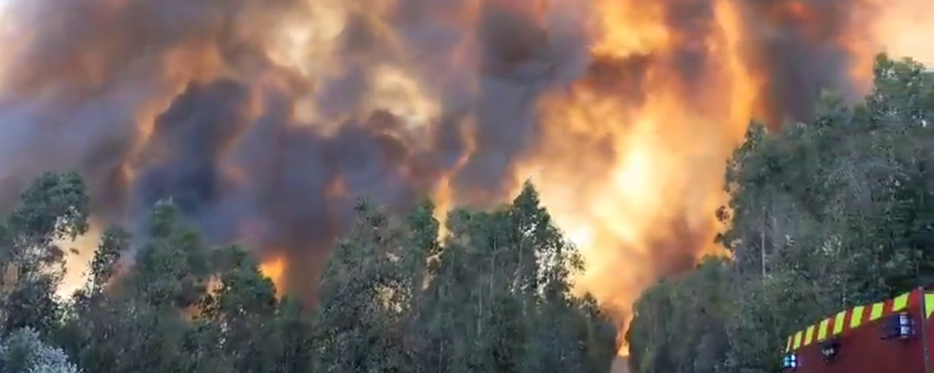 Şili'de orman yangınları geri döndü: Bazı yerlerde yangın yerleşim yerlerine sıçradı - Sputnik Türkiye, 1920, 16.05.2025