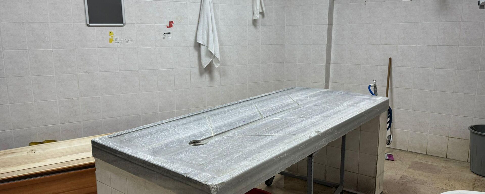 gassal - Sputnik Türkiye, 1920, 08.01.2025