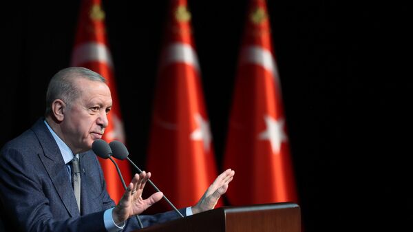 Cumhurbaşkanı Recep Tayyip Erdoğan - Sputnik Türkiye