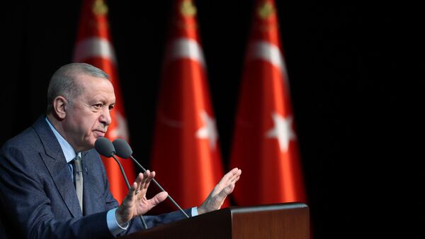 Cumhurbaşkanı Recep Tayyip Erdoğan - Sputnik Türkiye