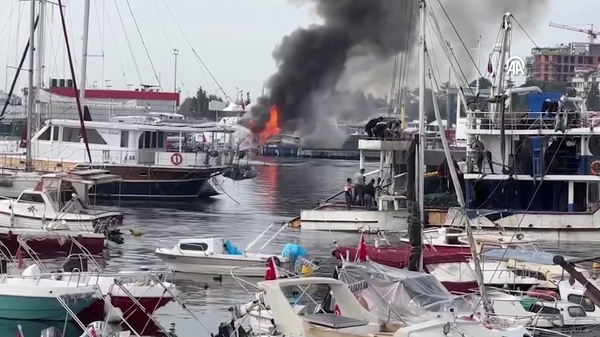 Pendik Marina - Sputnik Türkiye