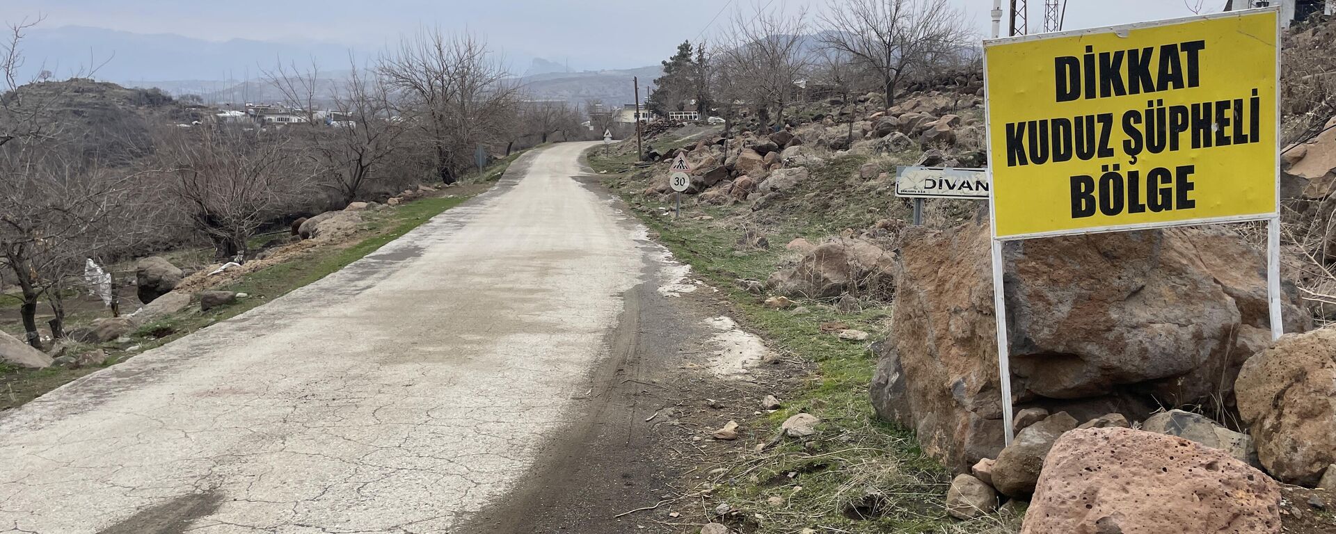 Şanlıurfa'nın Siverek Belediyesi sınırlarında, sahipsiz köpeğin bir kadına saldırısının güvenlik kamerası görüntüsü ortaya çıktı. Olayın ardından ölü bulunan köpekte kuduz tespit edilmesi üzerine Bahçe ve Divan mahalleleri karantinaya alındı. - Sputnik Türkiye, 1920, 11.02.2025