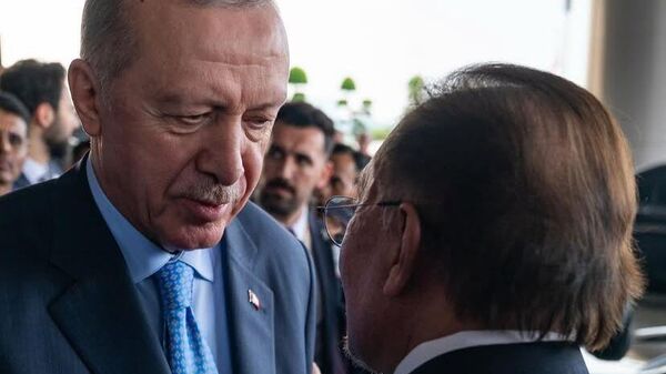 Cumhurbaşkanı Recep Tayyip Erdoğan ve Malezya Cumhurbaşkanı Enver İbrahim - Sputnik Türkiye