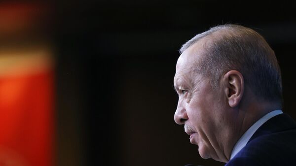 Cumhurbaşkanı Recep Tayyip Erdoğan - Sputnik Türkiye