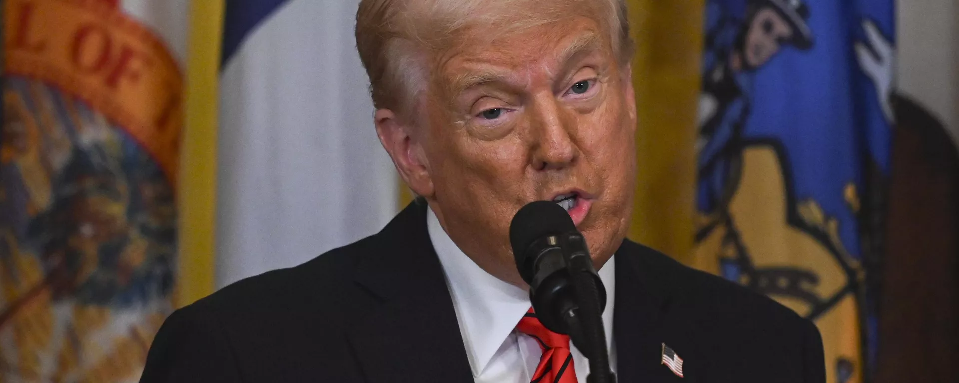 ABD Başkanı Donald Trump - Sputnik Türkiye, 1920, 11.04.2025