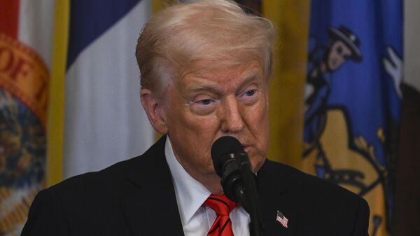 ABD Başkanı Donald Trump - Sputnik Türkiye