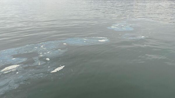 İzmir - Sputnik Türkiye