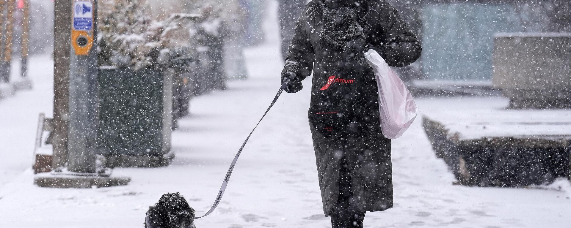 Kar yağışı - Sputnik Türkiye, 1920, 20.11.2025