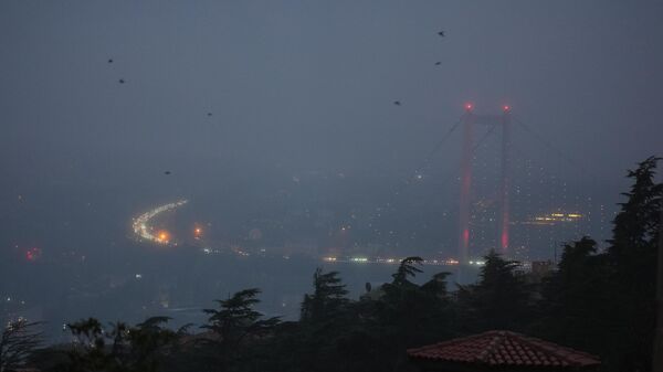 İstanbul Boğazı - Sputnik Türkiye