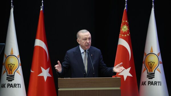 Erdoğan - Sputnik Türkiye
