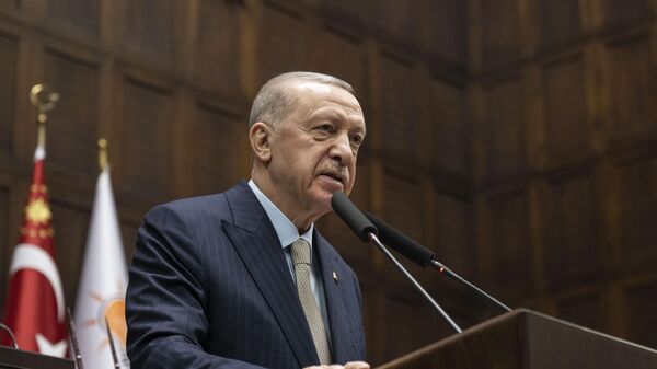 Erdoğan - Sputnik Türkiye