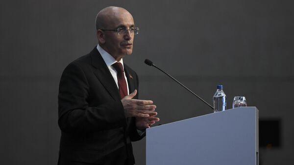 Hazine ve Maliye Bakanı Mehmet Şimşek  - Sputnik Türkiye