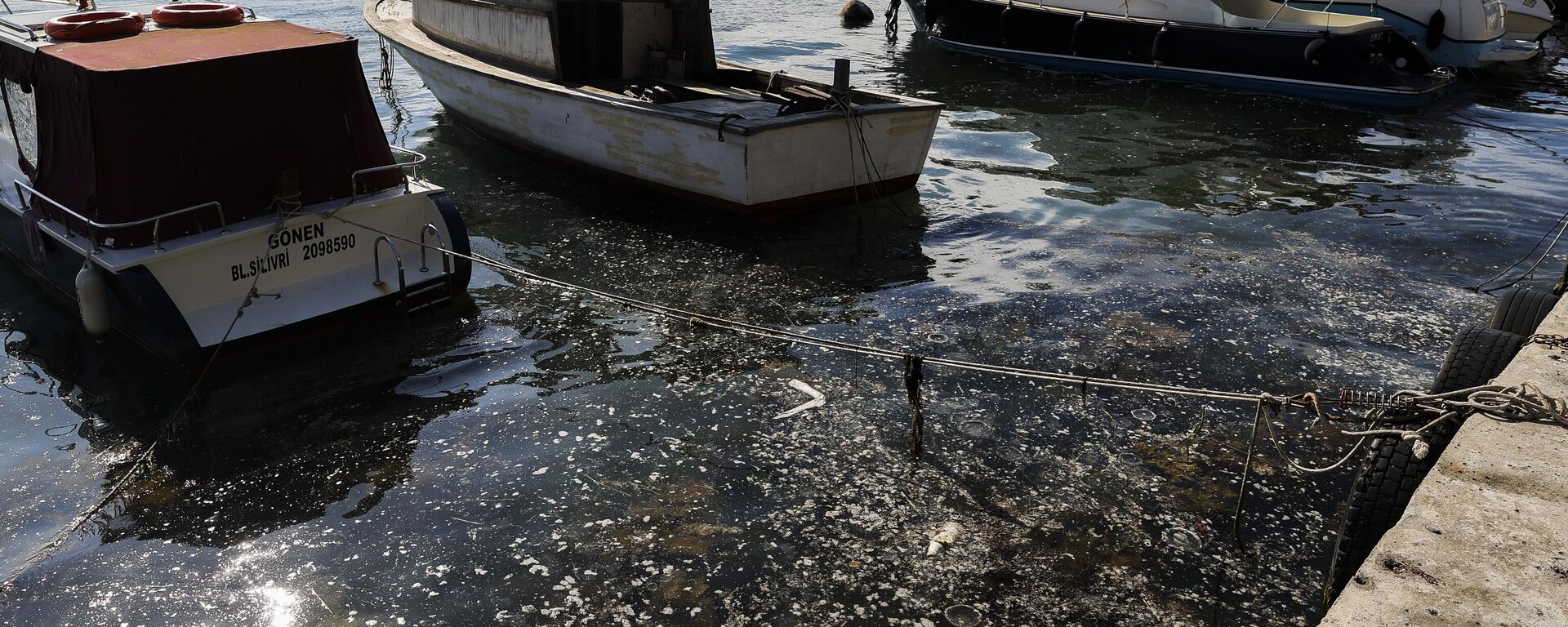 İstanbul'da Beykoz sahilinde deniz yüzeyinde müsilaj görüldü - Sputnik Türkiye, 1920, 17.04.2025