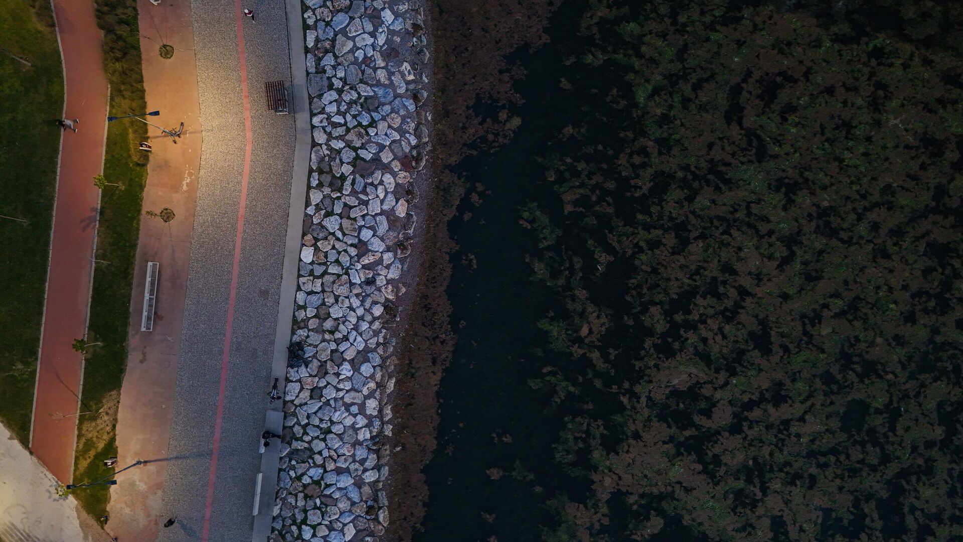 İzmir’in Karşıyaka ilçesinde denizin kıyıya yakın bazı noktaları, halk arasında deniz marulu adı verilen yosun türüyle kaplandı. İzmir’in Karşıyaka ilçesinde denizin kıyıya yakın bazı noktaları, halk arasında deniz marulu adı verilen yosun türüyle kaplandı. - Sputnik Türkiye, 1920, 15.04.2025