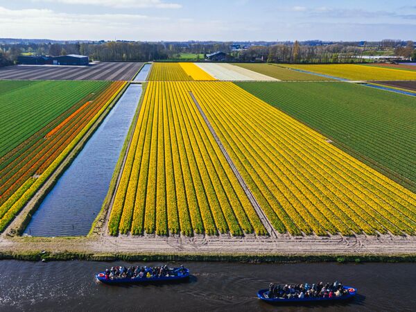 Dünyanın en büyük çiçek bahçelerinden biri olarak kabul edilen Keukenhof, yalnızca Hollanda’nın değil, aynı zamanda Avrupa’nın da bahar mevsimindeki gözde turistik rotalarından biri. - Sputnik Türkiye
