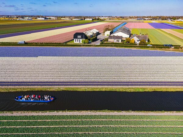 Geleneksel yel değirmeninin gölgesinde açan laleler, sümbüller, nergisler ve zambaklar, kırsal manzarayı büyüleyici bir tabloya çevirdi. - Sputnik Türkiye