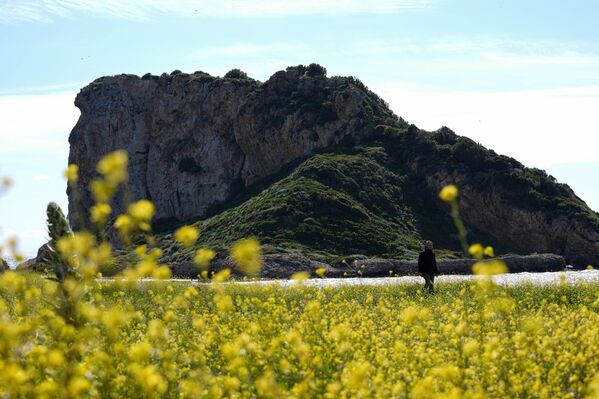 Adanın geçmişi de en az doğası kadar dikkat çekici. Yerel kaynaklara göre, antik dönemlerde bölgede farklı yerleşimlerin bulunduğu, adanın çevresinde ise zamanla unutulmuş kalıntıların olduğu biliniyor. İsmi ise çeşitli rivayetlere dayanıyor; bazı kaynaklar "Çıfıt" kelimesinin eski dönemlerde bölgedeki etnik çeşitliliğe gönderme olduğunu öne sürüyor. - Sputnik Türkiye