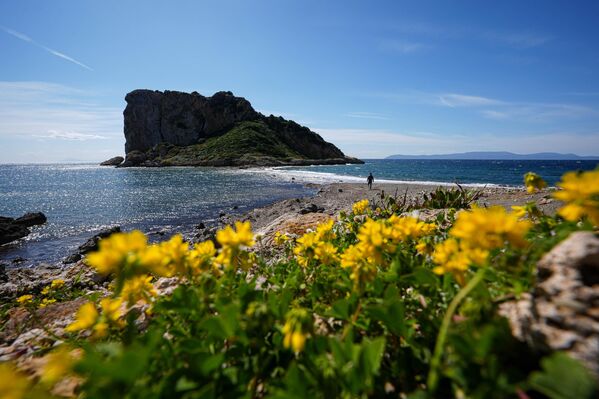 Urla’nın Demircili Mahallesi sahiline yakın konumda yer alan ada, özellikle ilkbahar ve yaz aylarında büyük ilgi görüyor. - Sputnik Türkiye