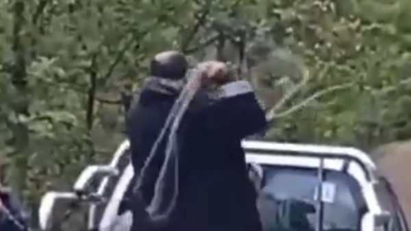 Trabzon'da köpeğe halatla şiddet uygulayan kişi gözaltına alındı - Sputnik Türkiye