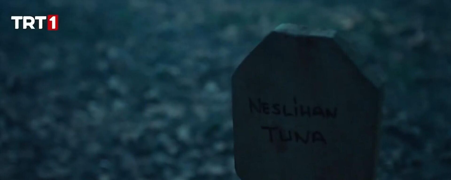 Teşkilat  - Sputnik Türkiye, 1920, 21.04.2025