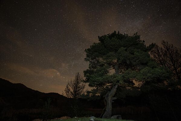 Meteorlar, atmosfere yüksek hızda girdiklerinde yanarak gökyüzünde parlak izler bırakıyor. Lyrid, yılın ilk büyük meteor yağmurlarından biri olmasıyla da ayrı bir öneme sahip. - Sputnik Türkiye
