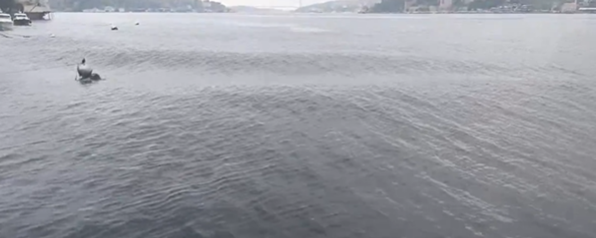 İstanbul Boğazı deprem anı - Sputnik Türkiye, 1920, 23.04.2025