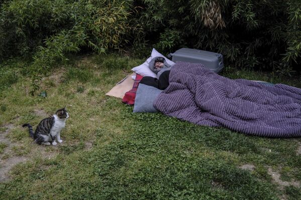 İstanbul'da deprem sonrası tedirgin olanlar geceyi park ve bahçelerde geçirdi. - Sputnik Türkiye