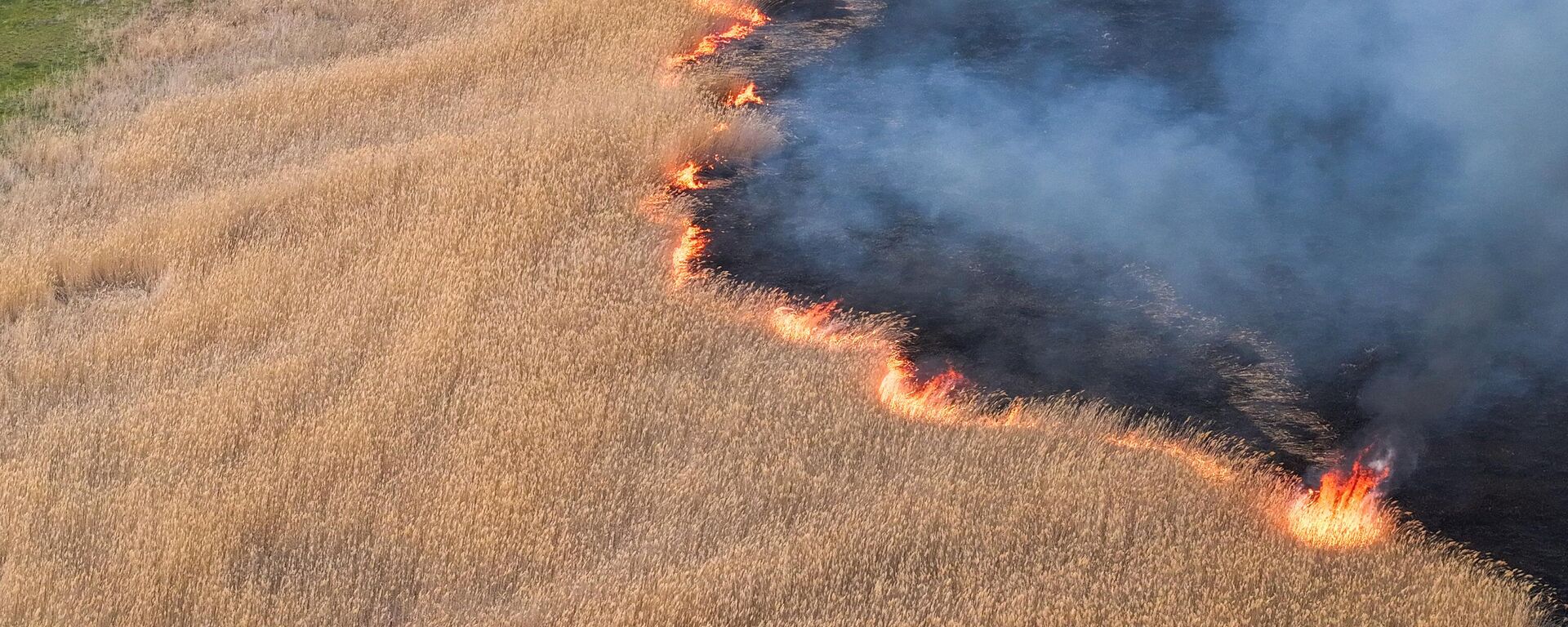 Van'ın Edremit ilçesinde onlarca türüne ev sahipliği yapan sazlık alanda yangın çıktı - Sputnik Türkiye, 1920, 24.04.2025